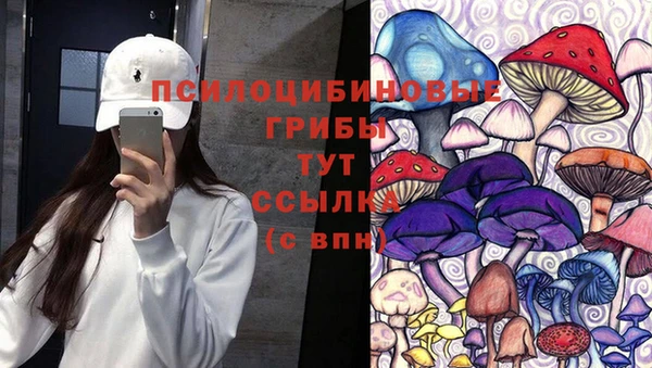 ГАЛЛЮЦИНОГЕННЫЕ ГРИБЫ Алексеевка