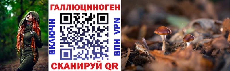 Псилоцибиновые грибы ЛСД Фёдоровский